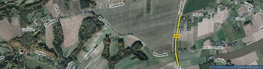 Zdjęcie satelitarne Brzozowa ul.